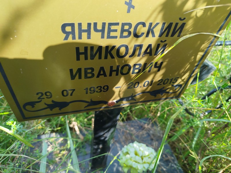 Янчевский