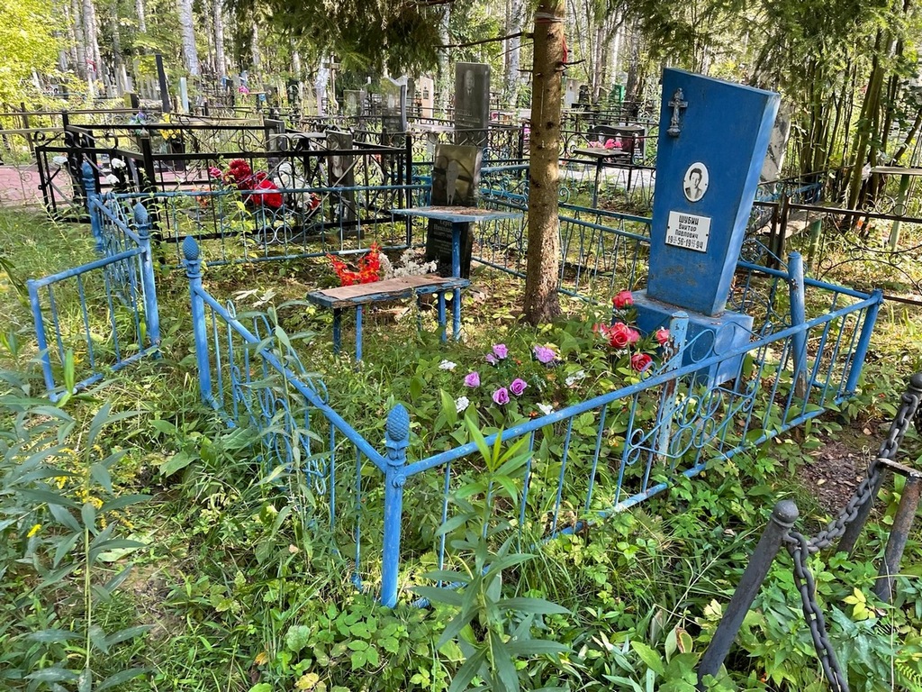 Телешев Сергей Николаевич
