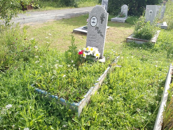Румянцев Николай Григорьевич