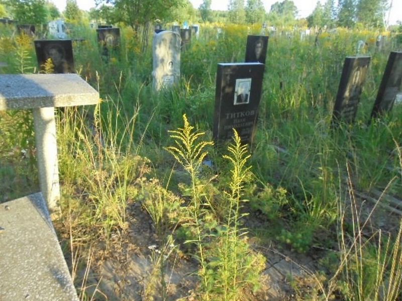 Титков Иван Николаевич