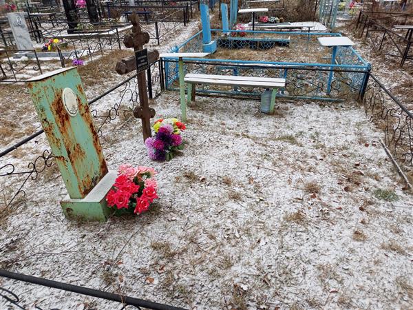 Плотникова Нина Дмитриевна