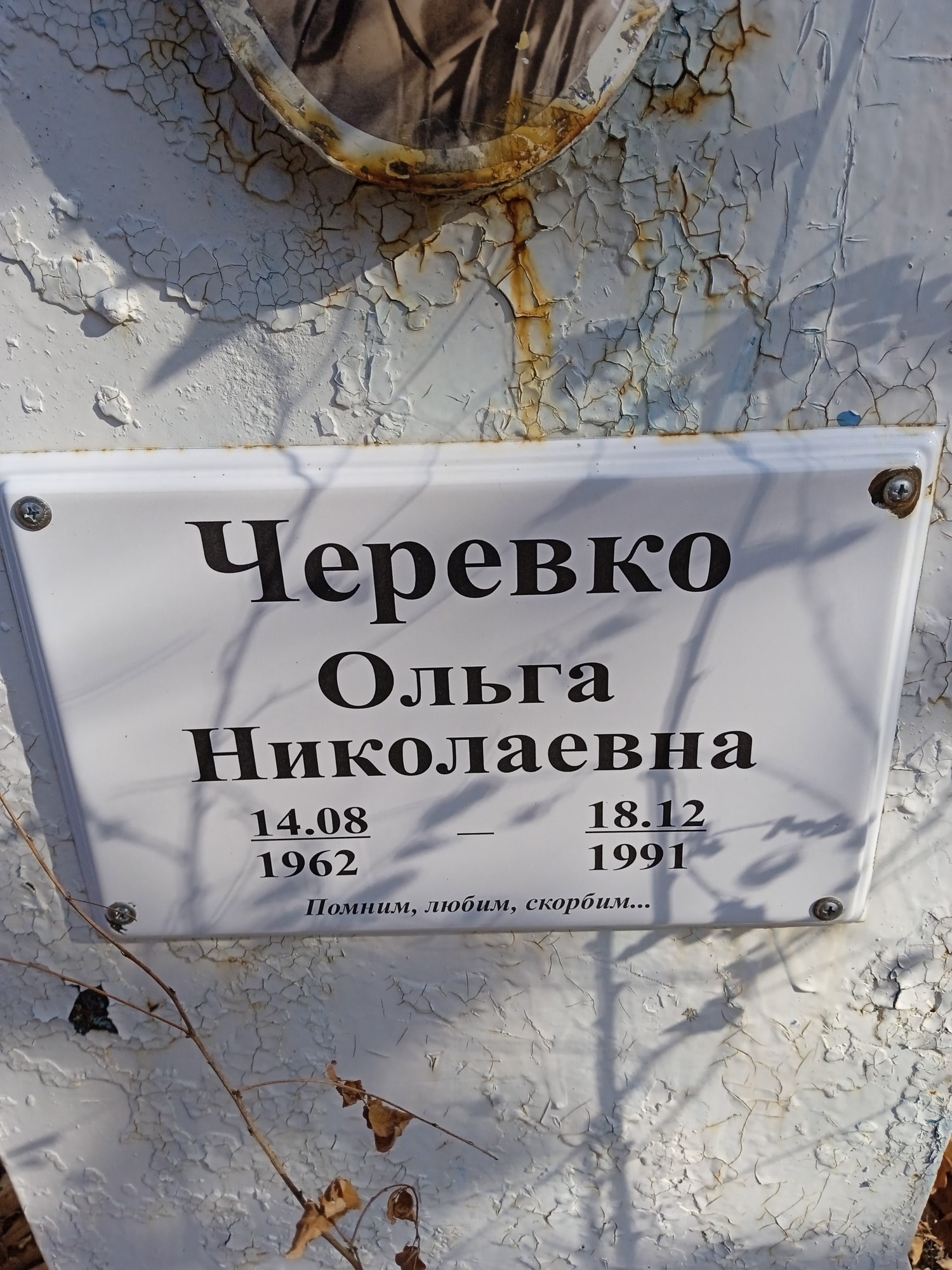 Черевко Ольга Николаевна