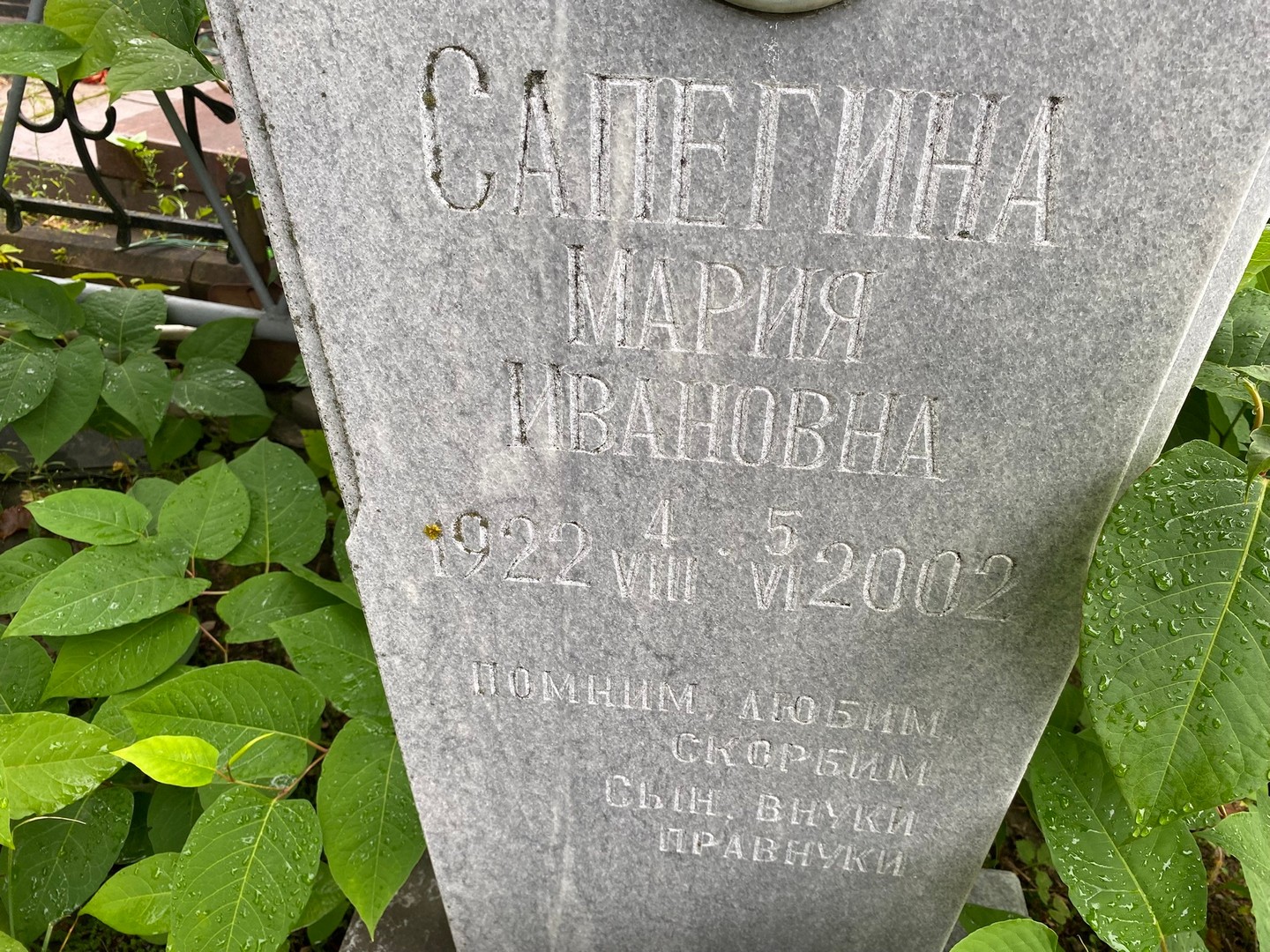 Сапегина