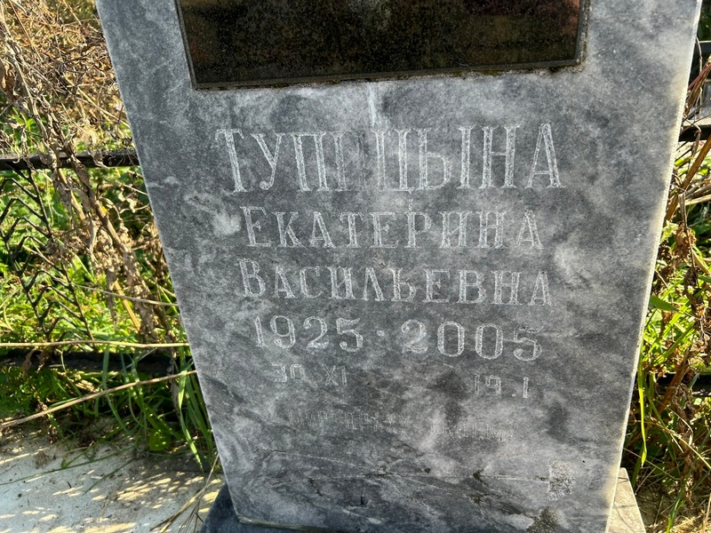Тупицына