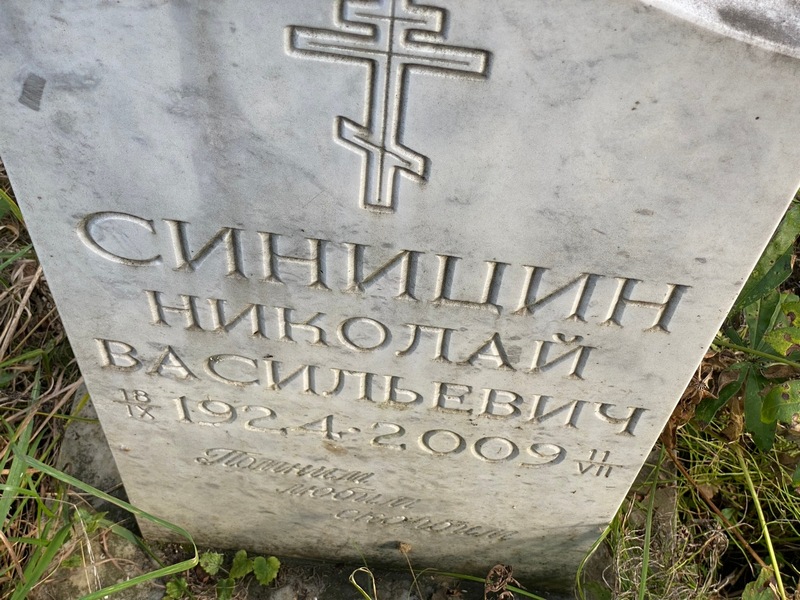 Синицин