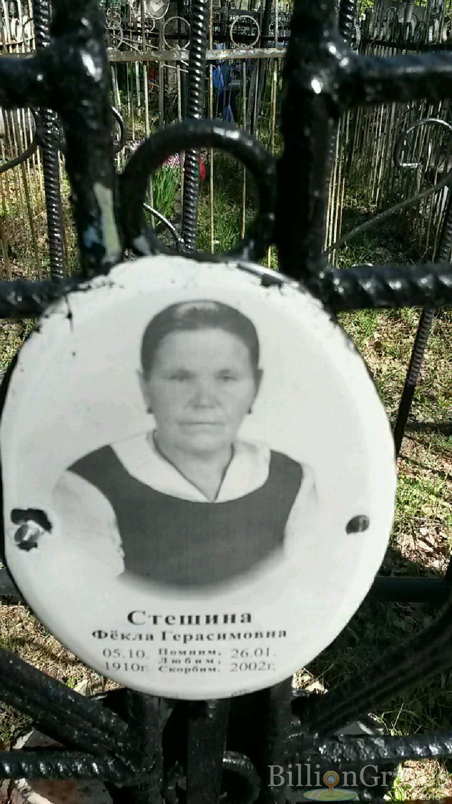 Стешин Александр Герасимович