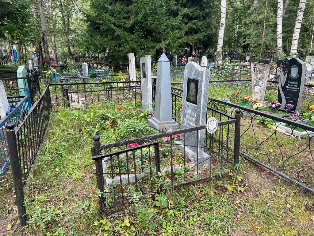 Варечкин Николай Николаевич