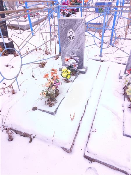 Мошонкин Николай Николаевич