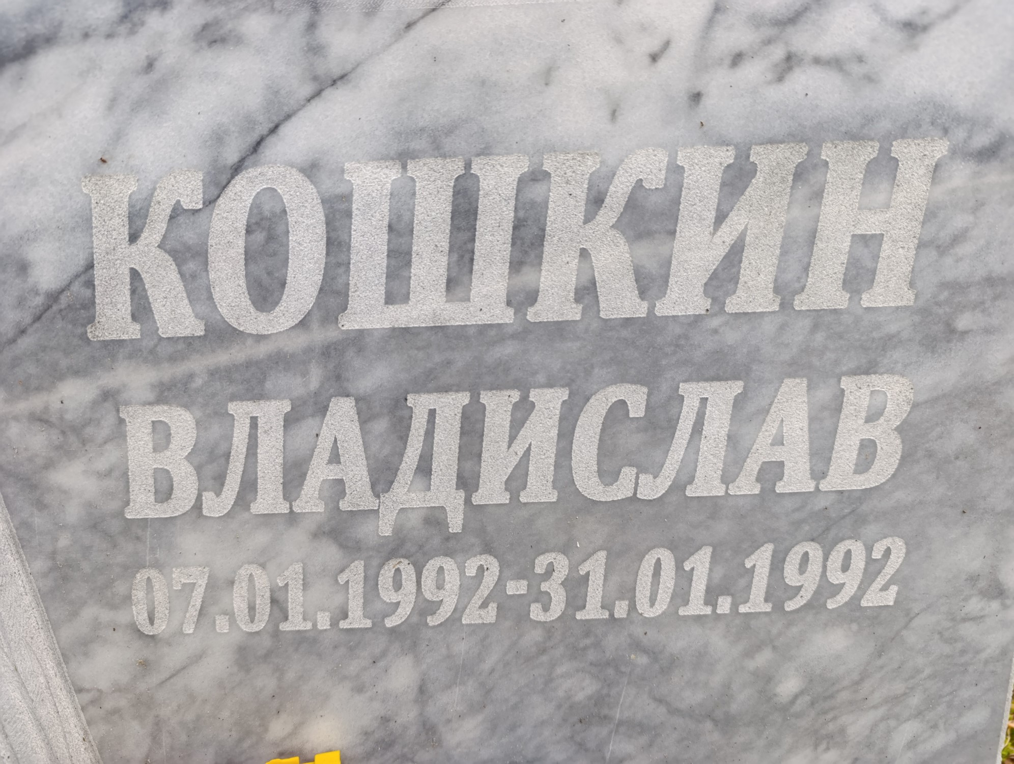 Кошкин Владислав