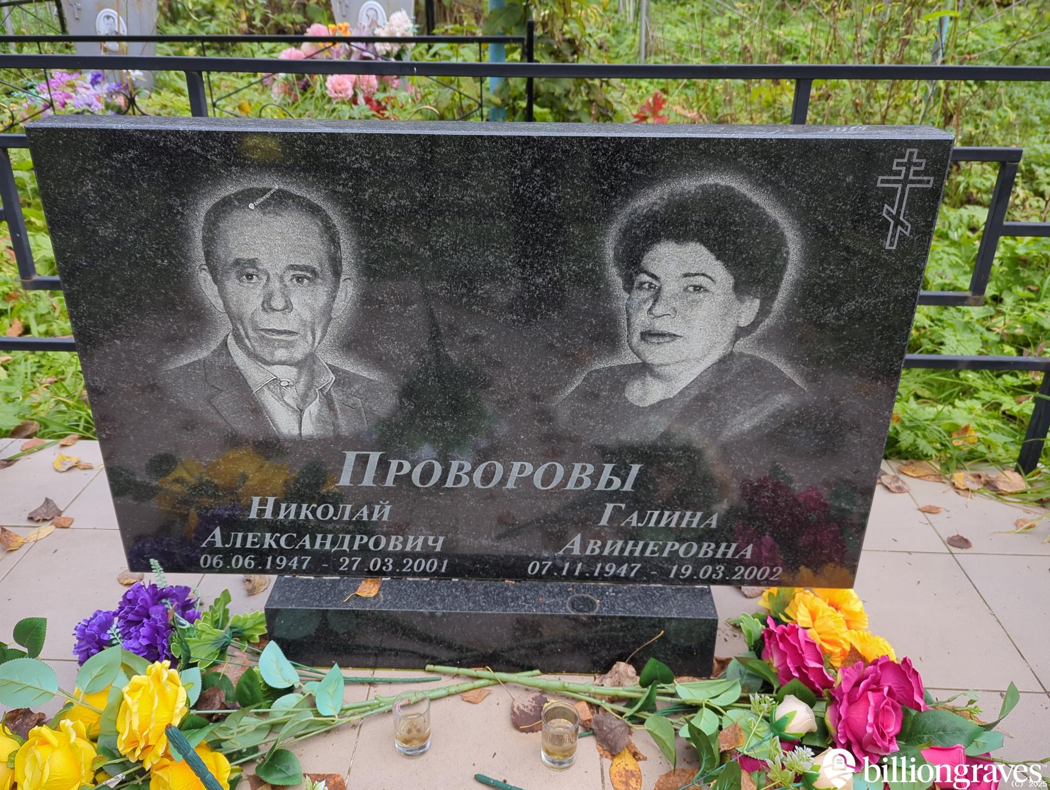 Проворов Николай Александрович