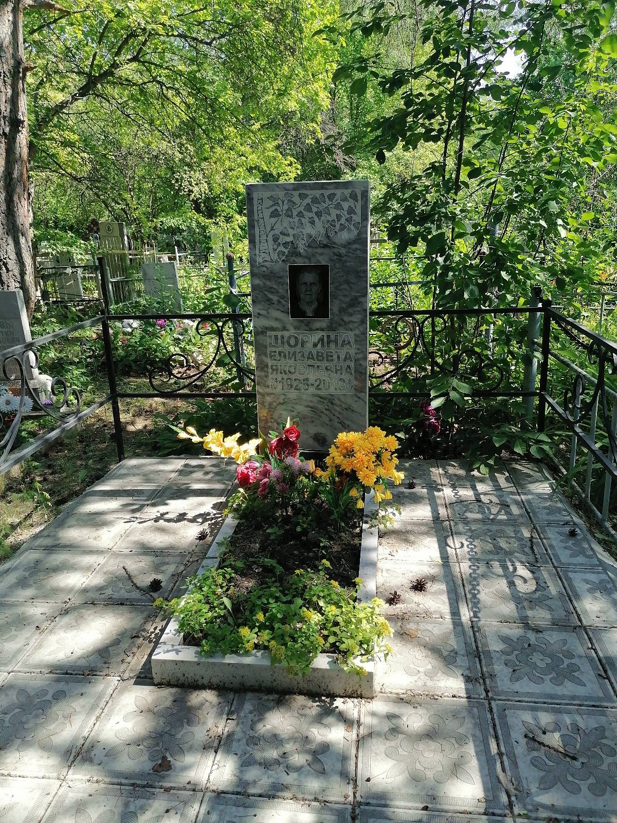 Шорина Елизавета Яковлевна