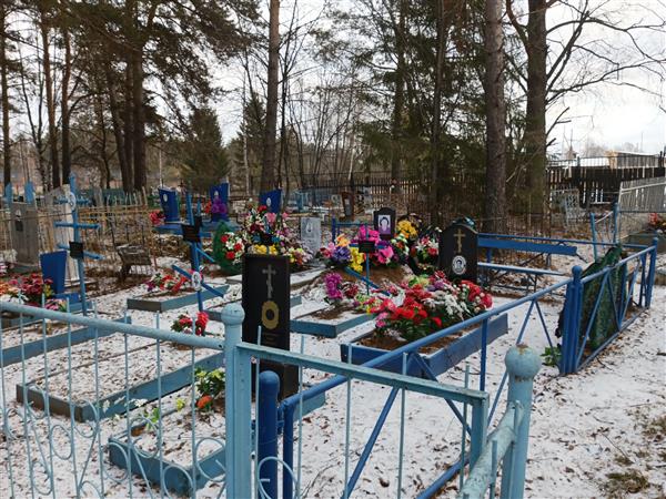 Подковыркина Алена Сергеевна
