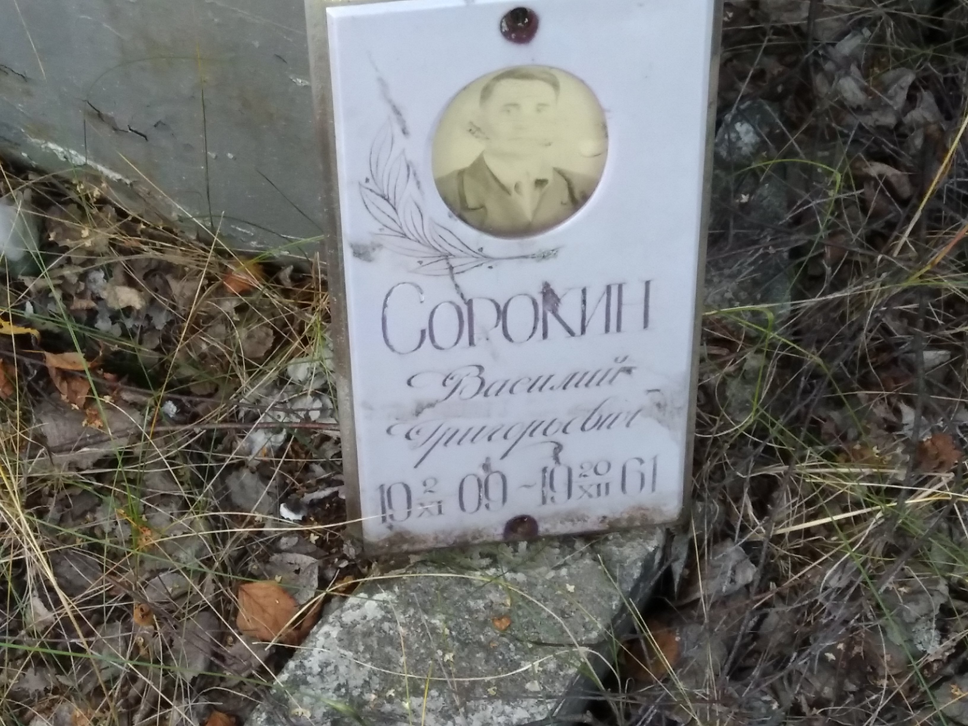 Сорокин Василий Григорьевич