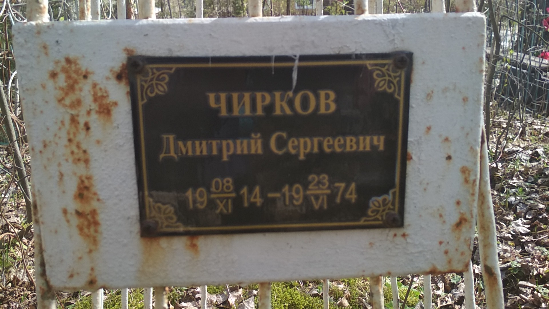 Чирков Дмитрий Сергеевич