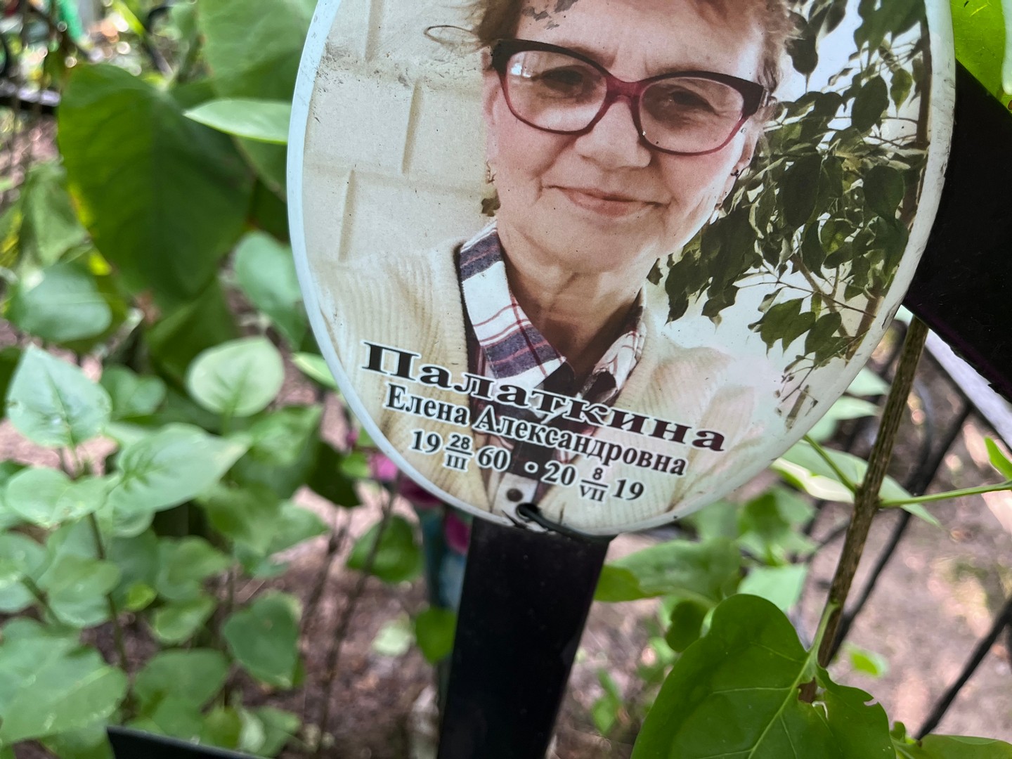 Палаткина