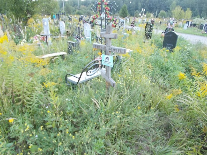 Боровкова Алина Ильинична