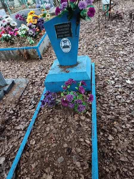Перевозчиков Николай Васильевич