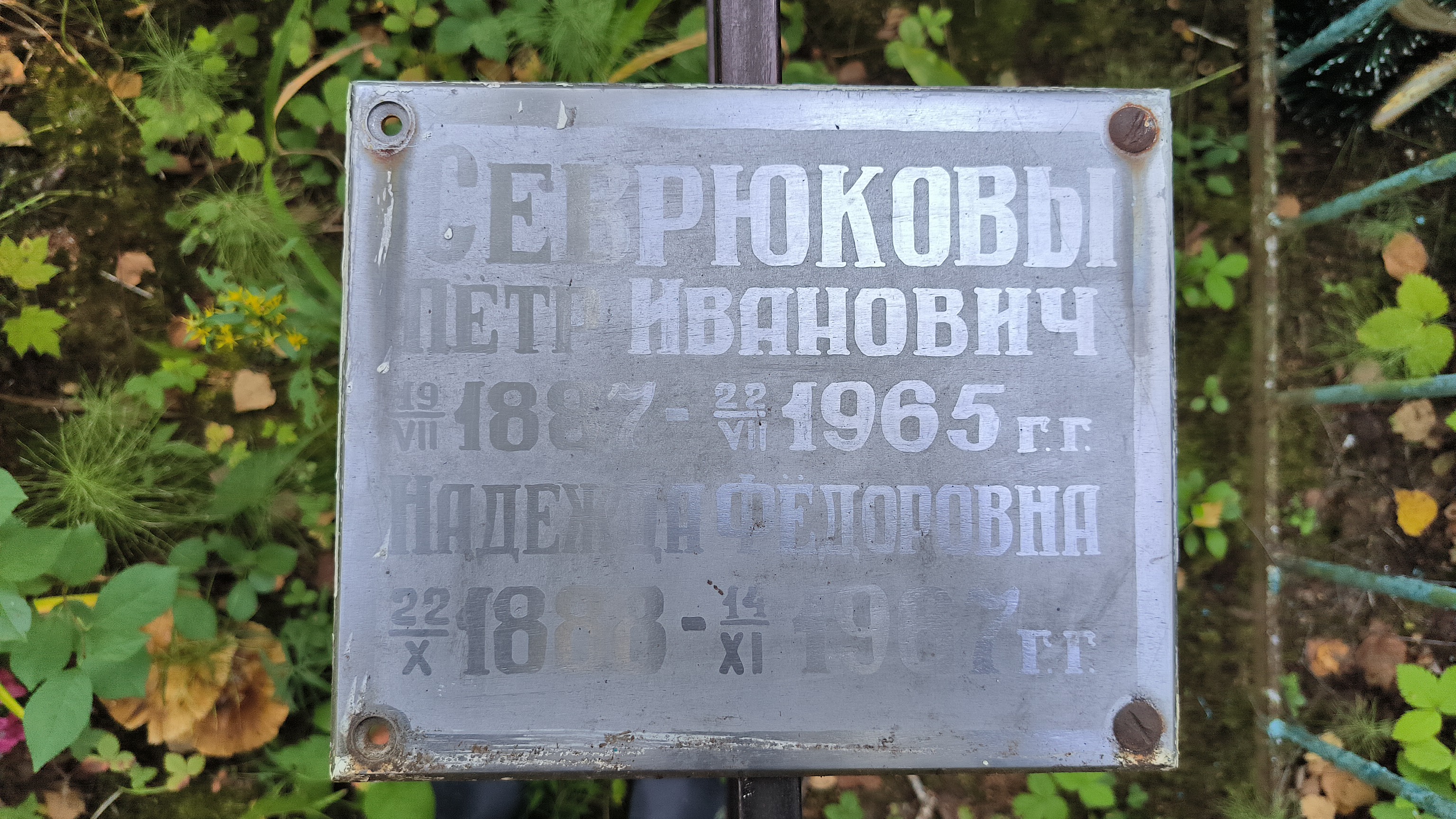Севрюкова Надежда Фёдоровна