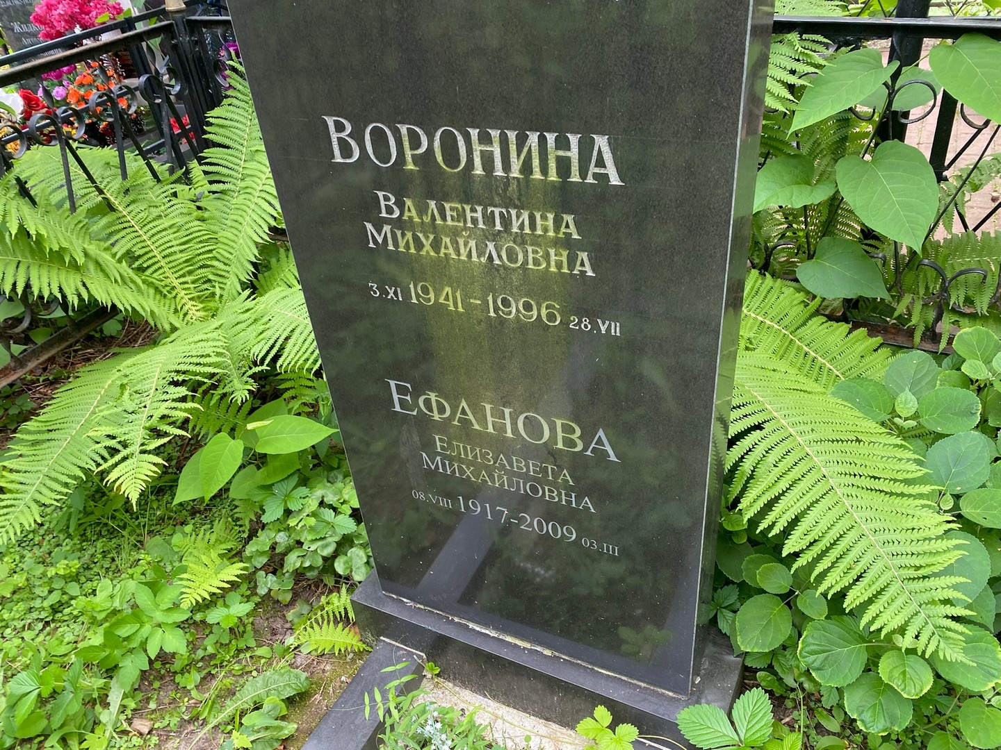 Ефанова