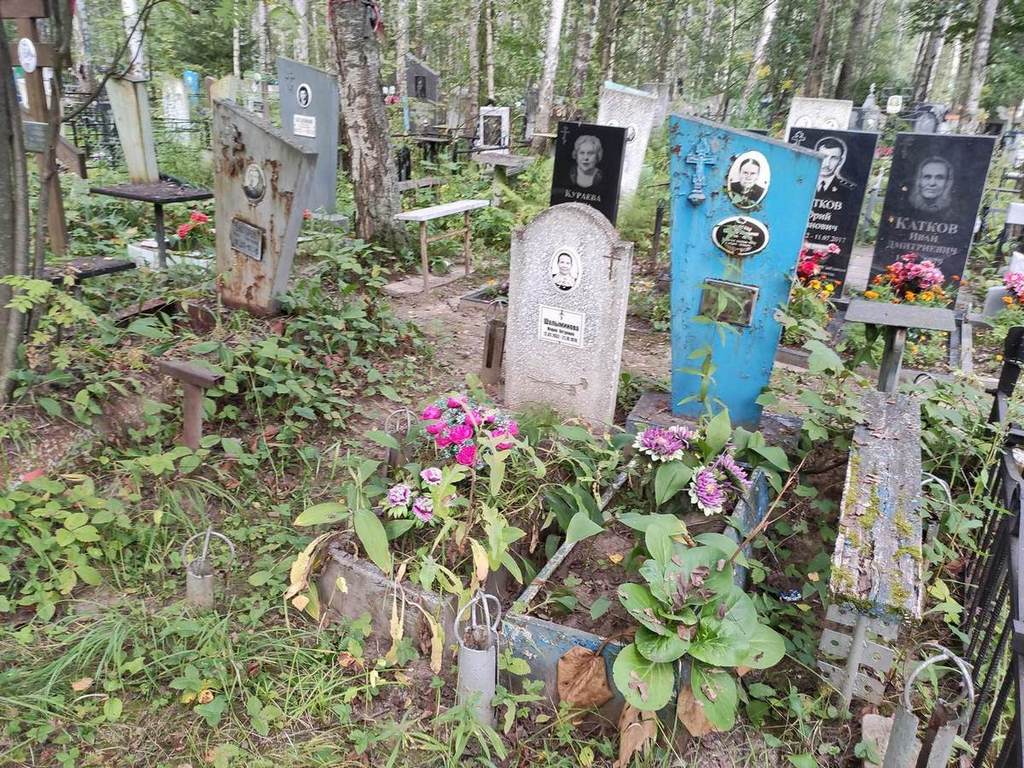 Кулагина Анастасия Петровна