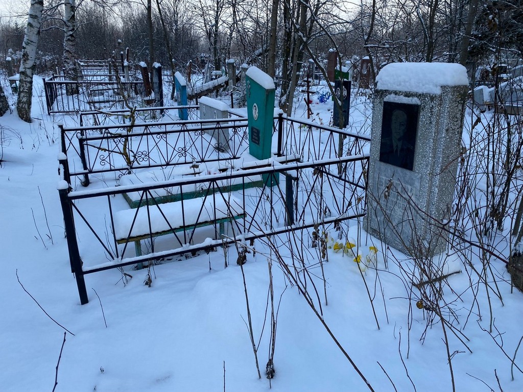 Безгин Станислав Михайлович