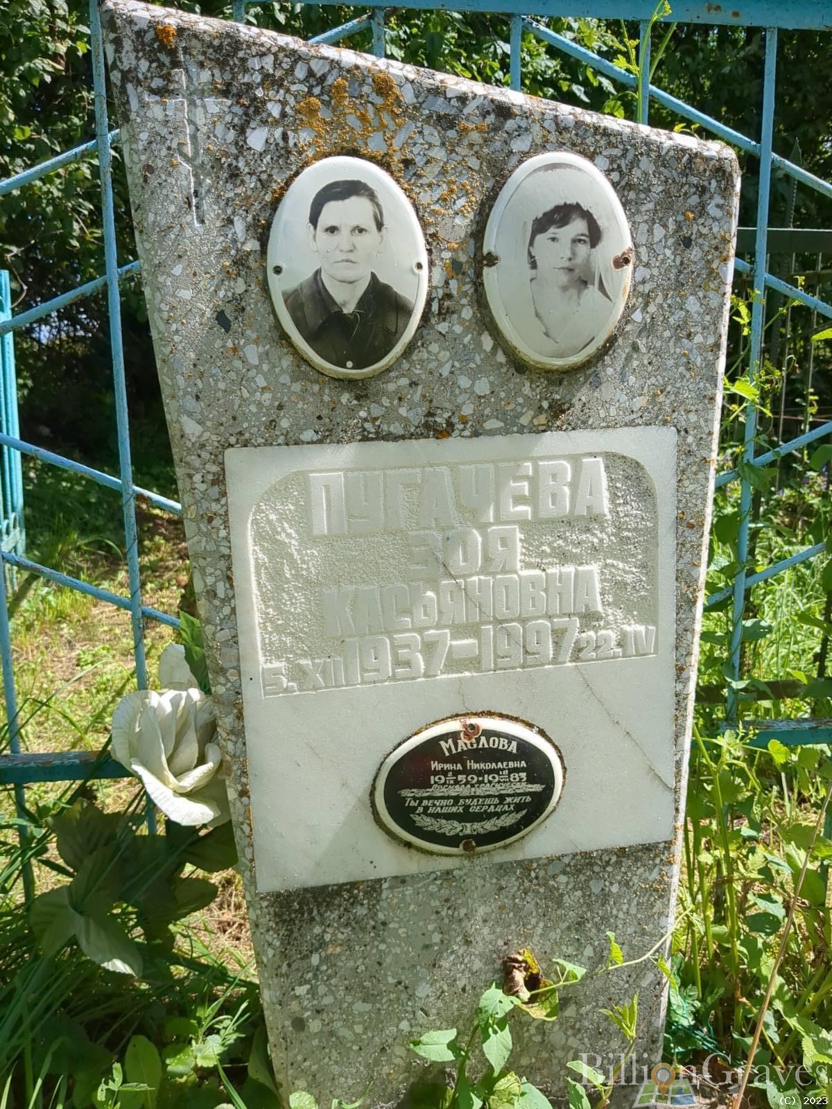 Маслова Ирина Николаевна