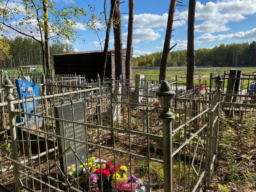 Баженов Николай Павлович