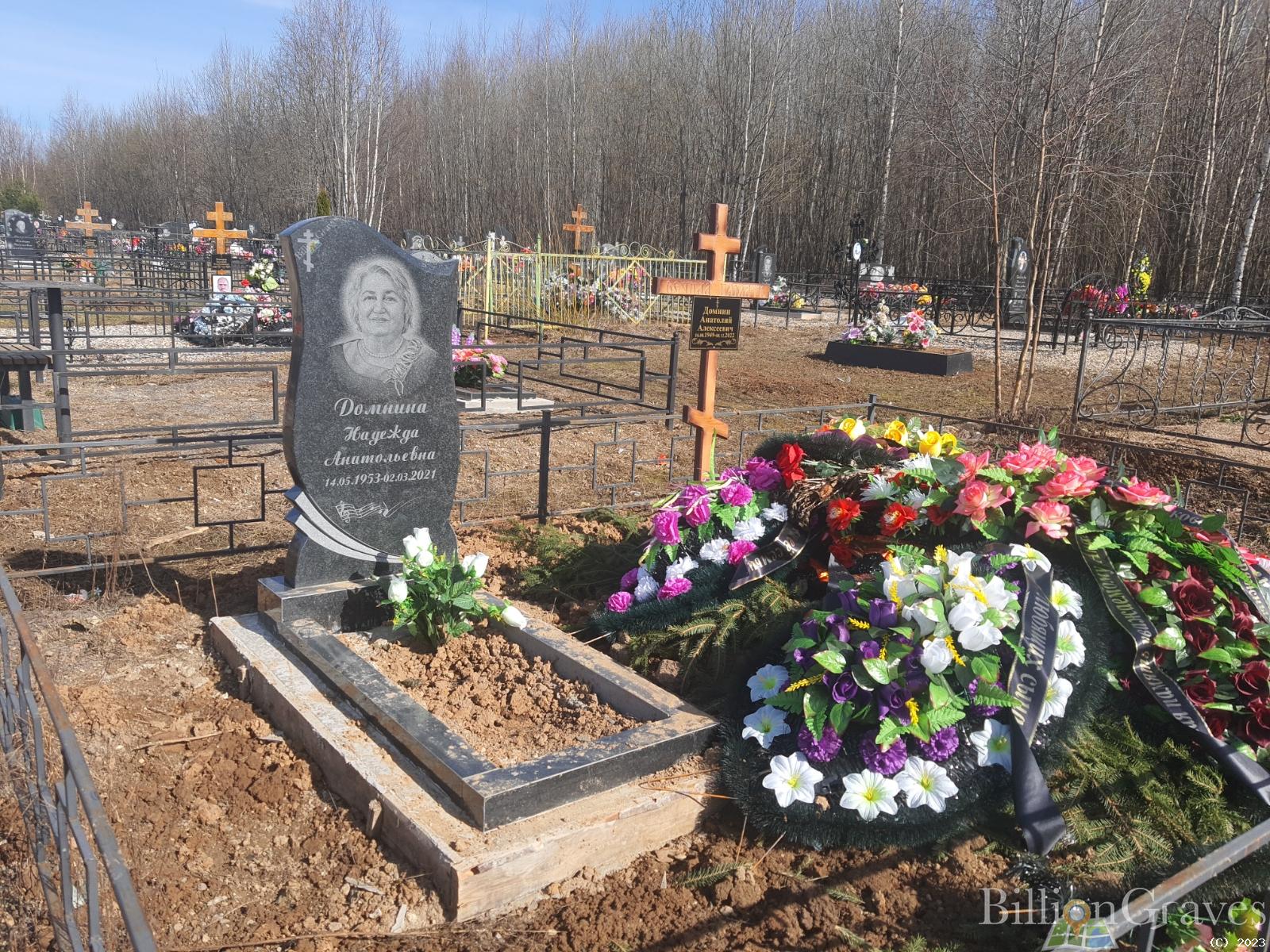 Домнин Анатолий Алексеевич