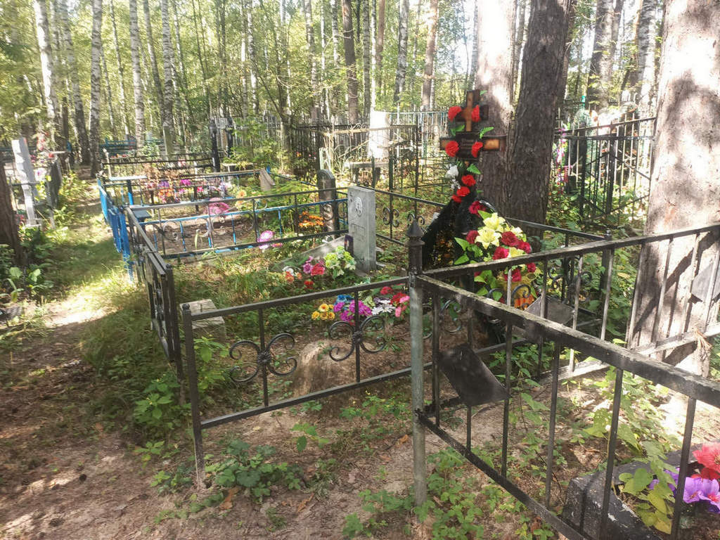 Юткина Дарья Васильевна