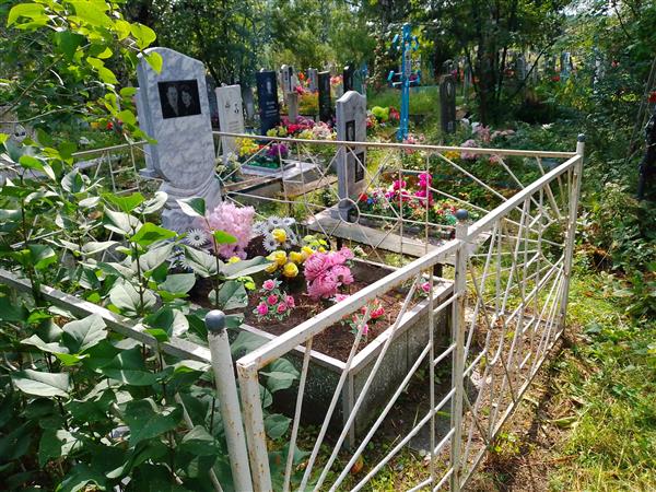 Мохова Галина Александровна