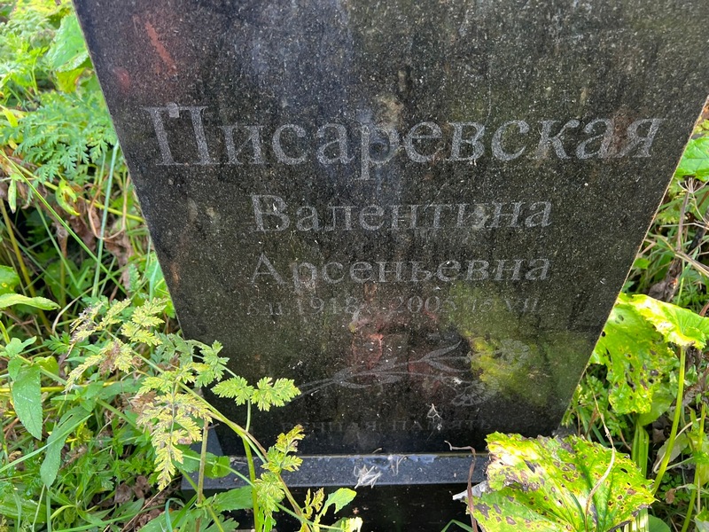 Писаревская