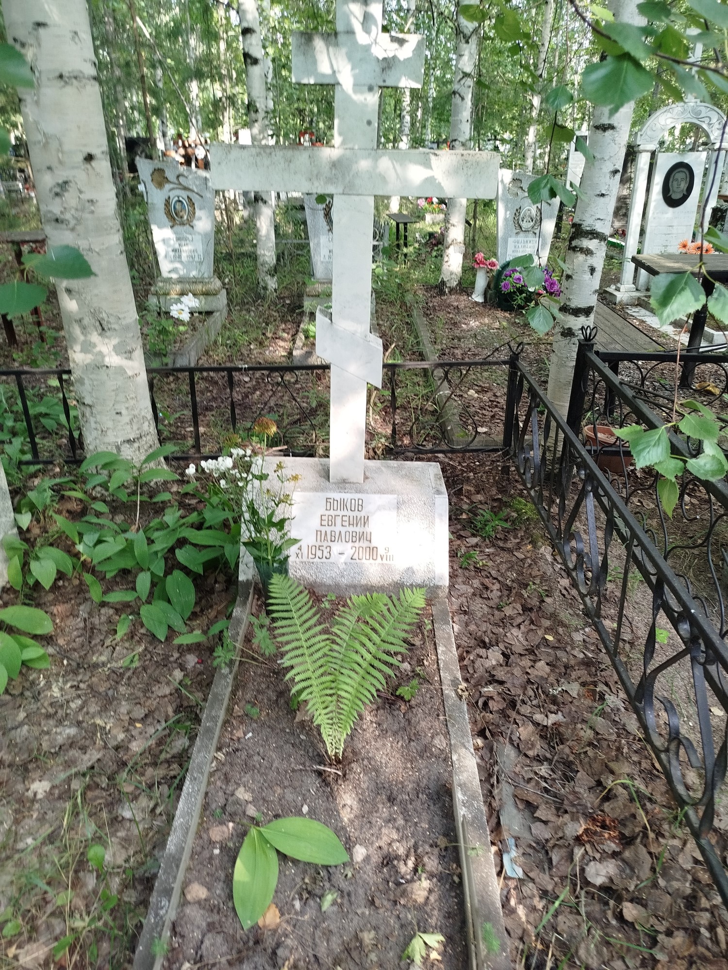 Быков Евгений Павлович
