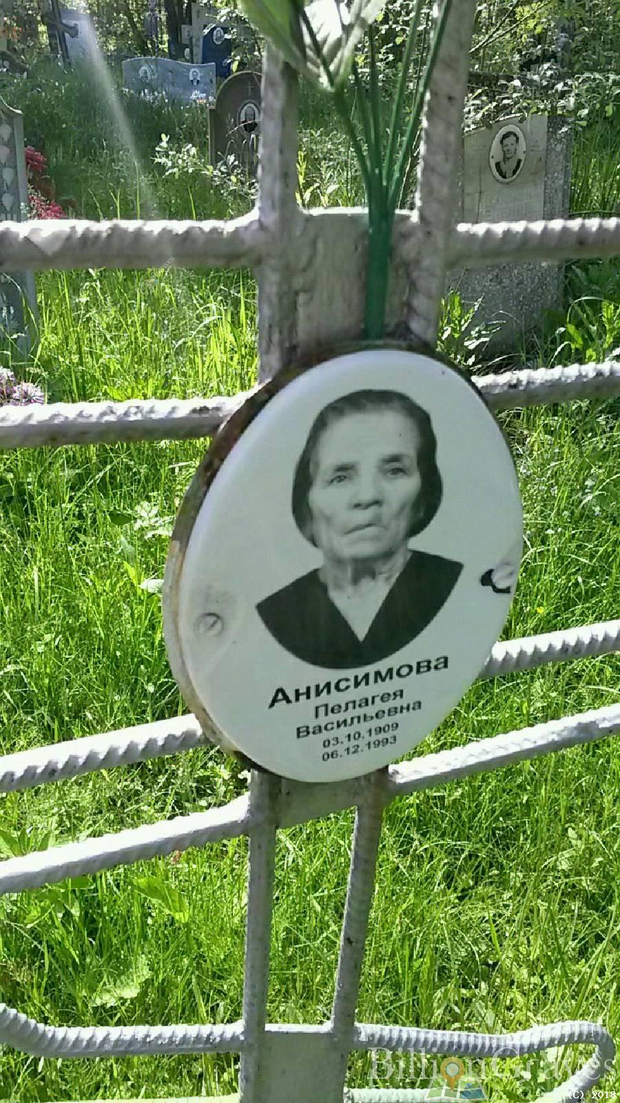 Анисимова Пелагея Васильевна