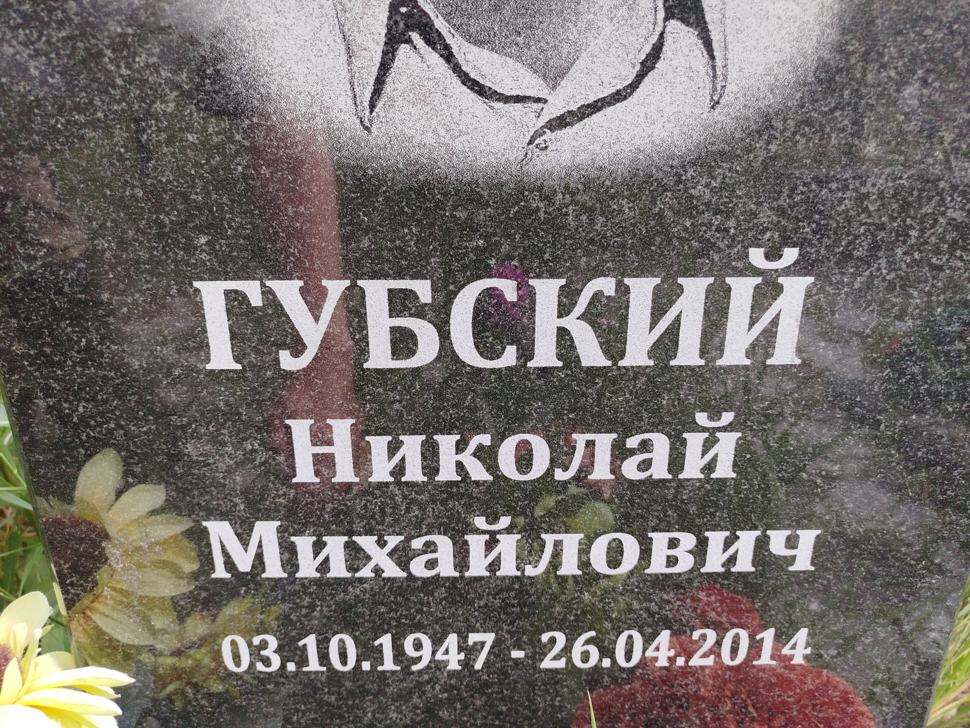 Губский Николай Михайлович