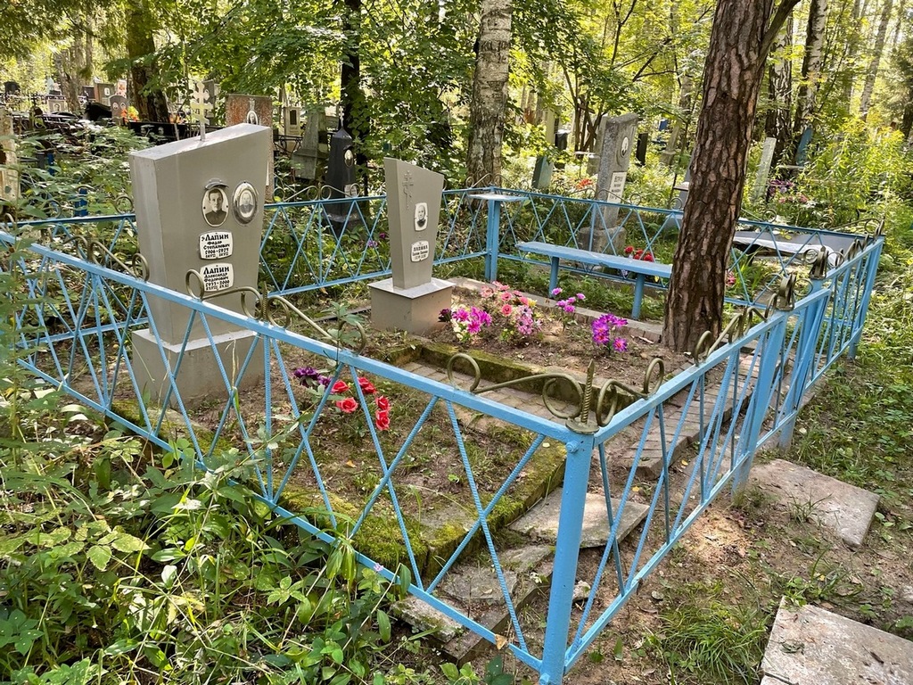 Лапин Александр Федорович