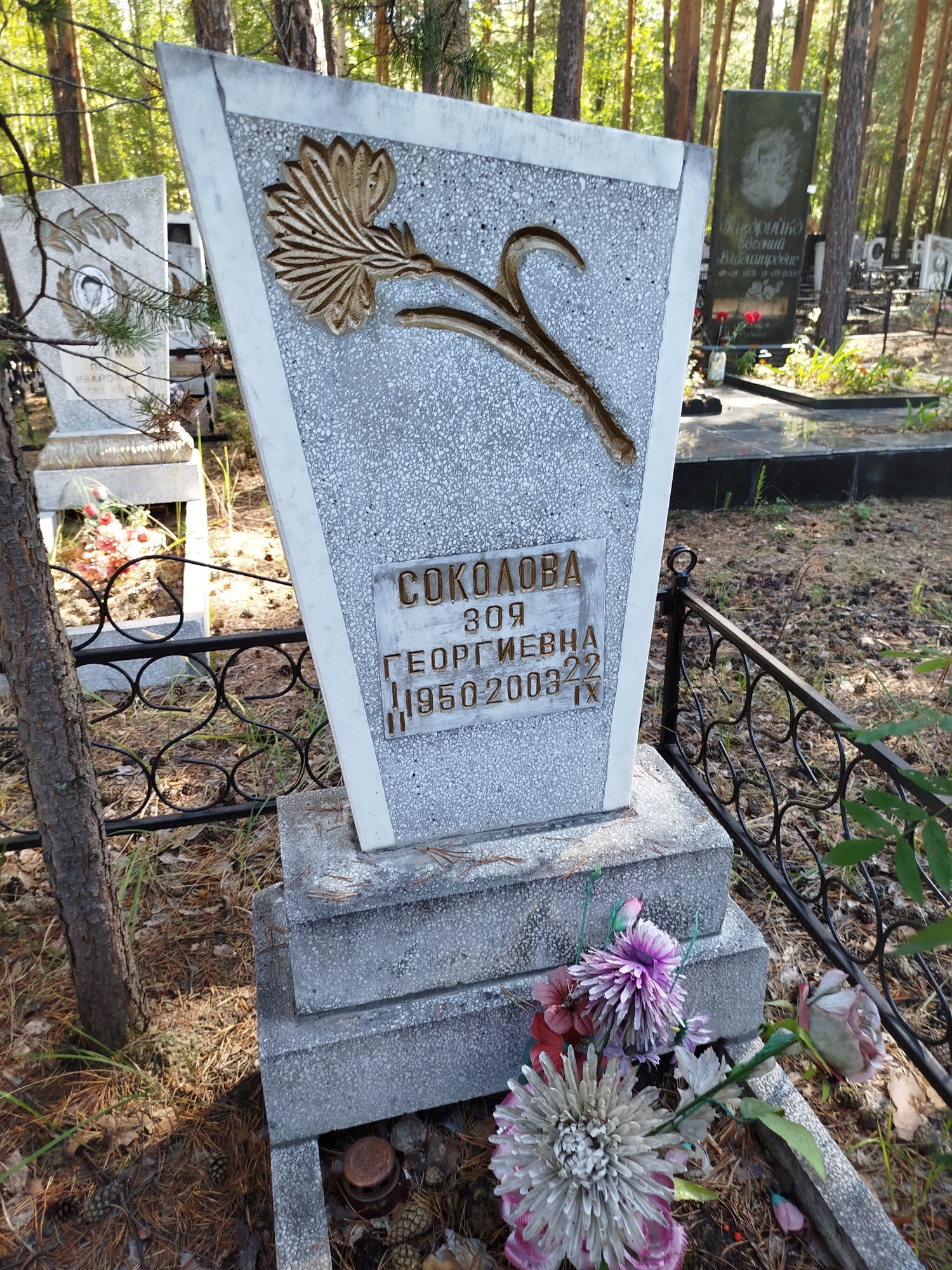 Соколова Зоя Георгиевна