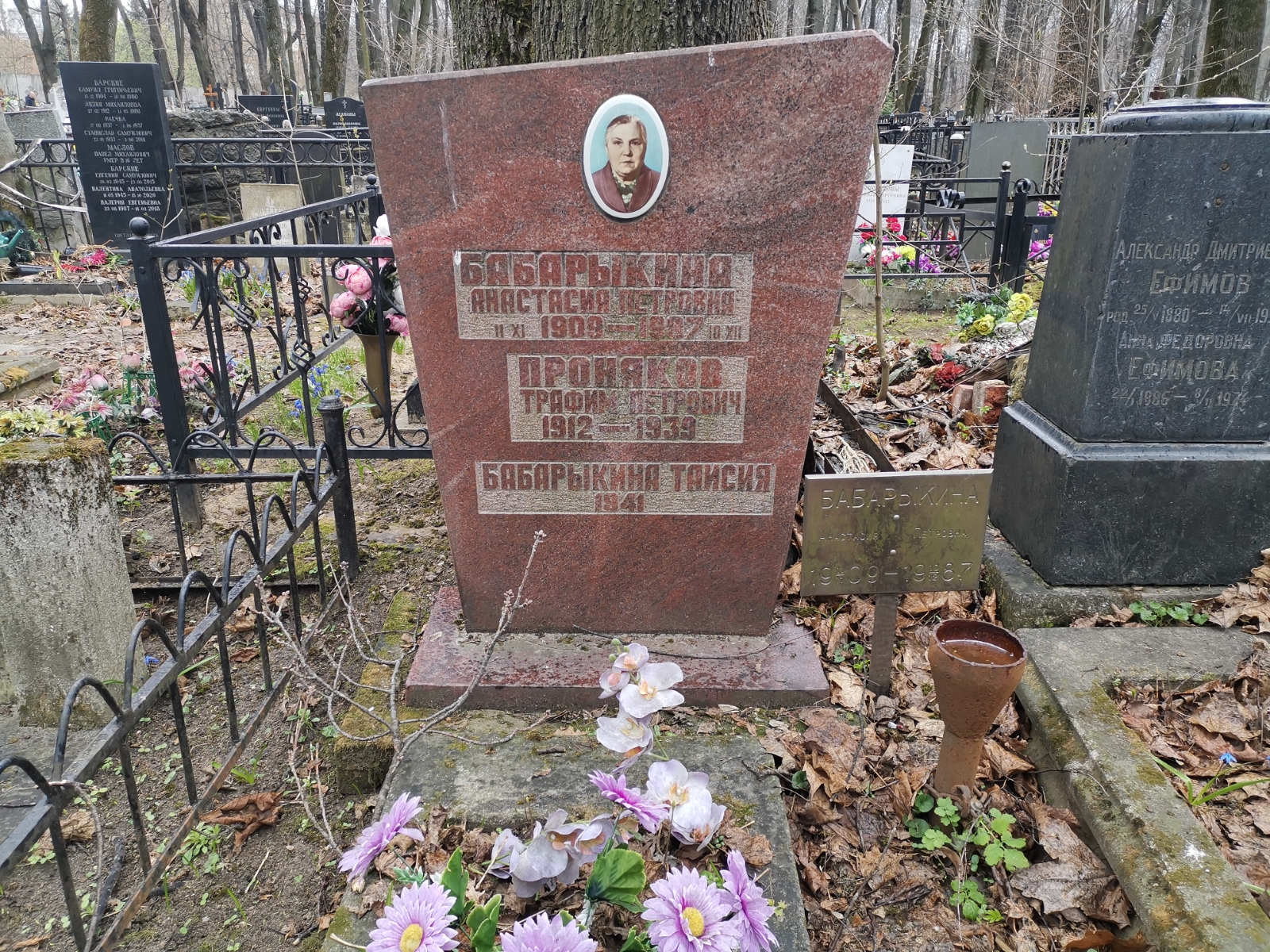 Бабарыкина Анастасия Петровна