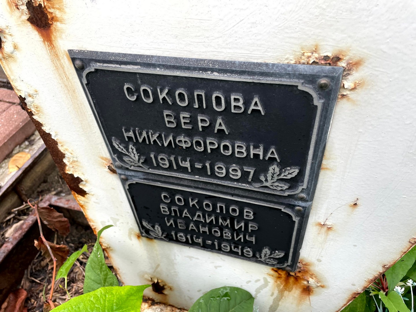 Соколова