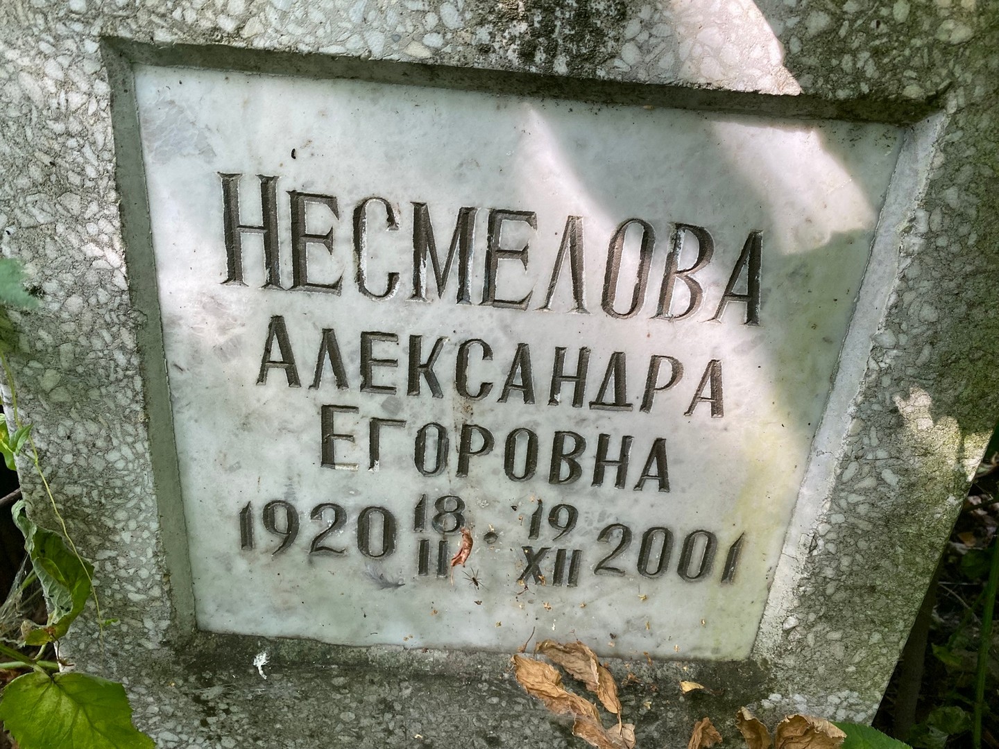 Несмелова Александра Егоровна
