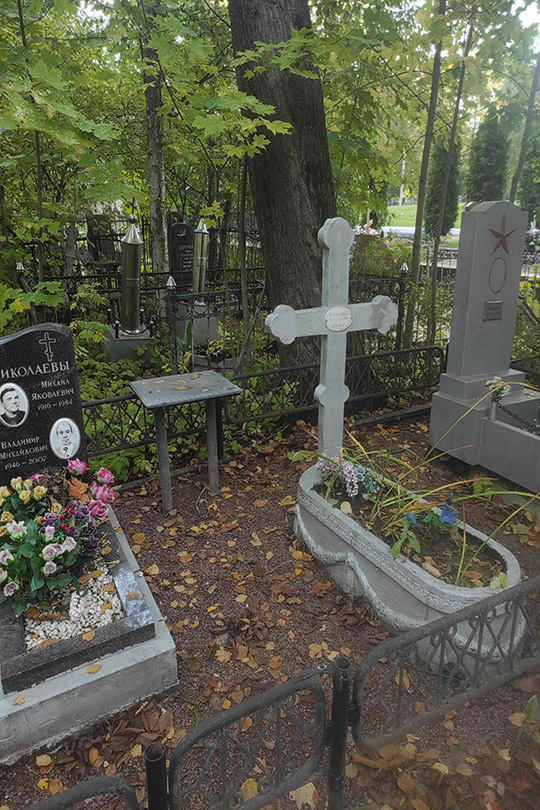Николаев Михаил Яковлевич