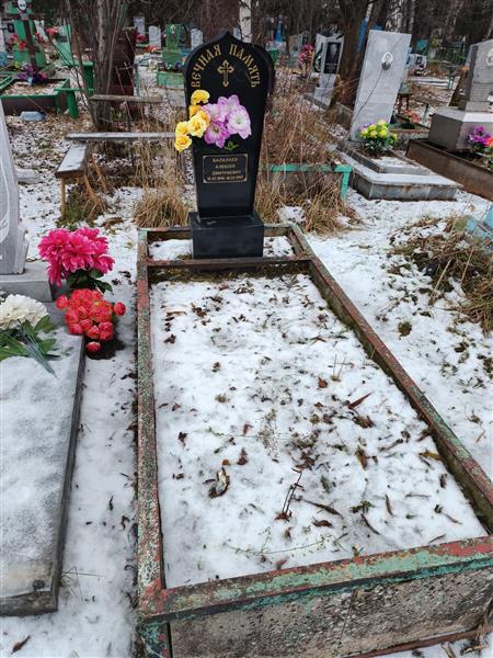 Балалаев Алексей Дмитриевич