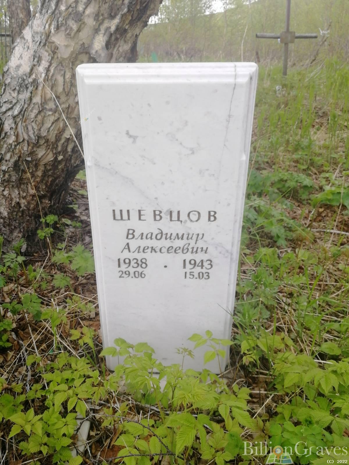 Шевцов Владимир Алексеевич