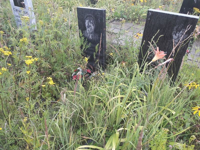 Савельев Михайлович