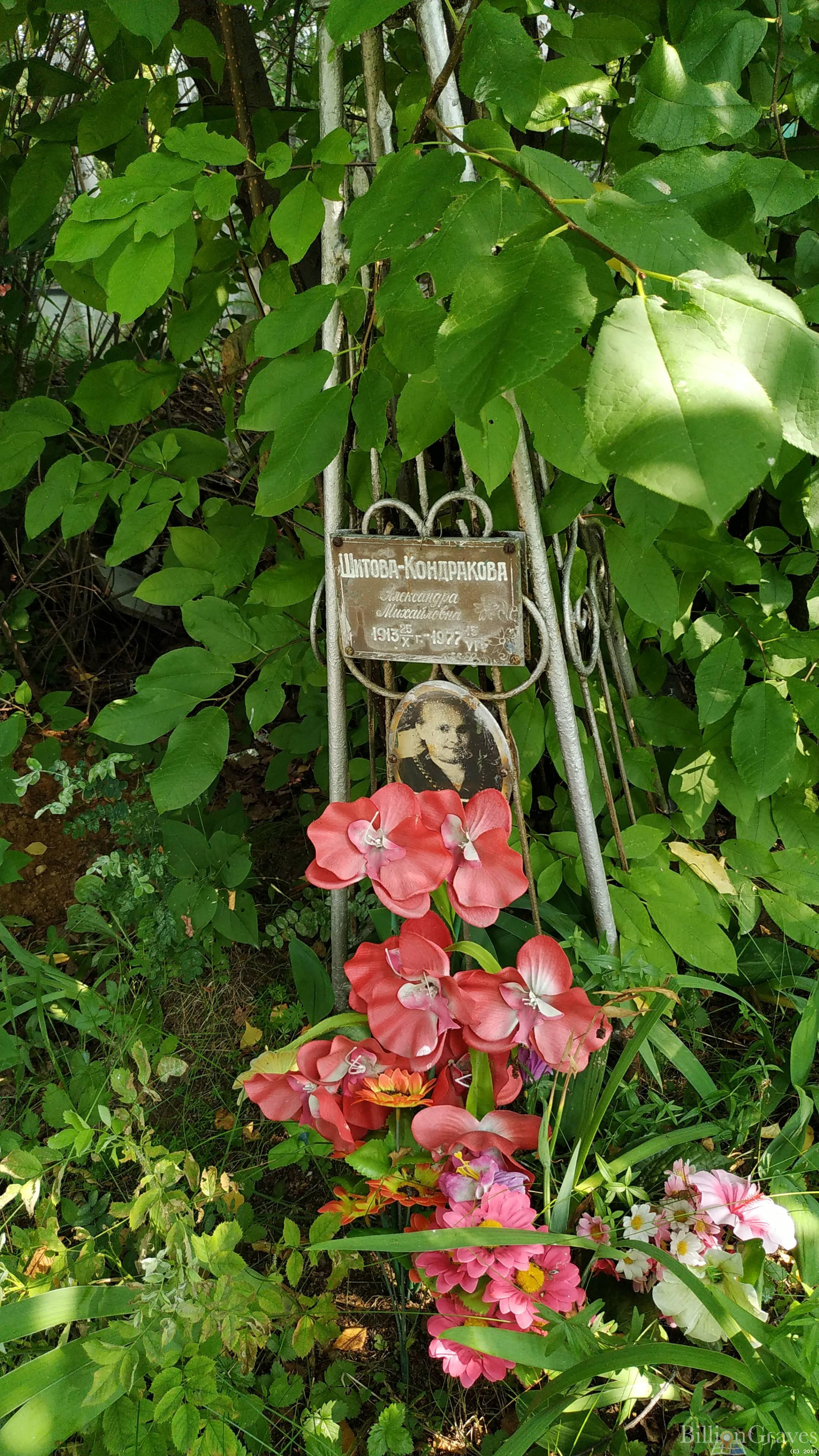 Шитова-Кондракова Александра Михайловна
