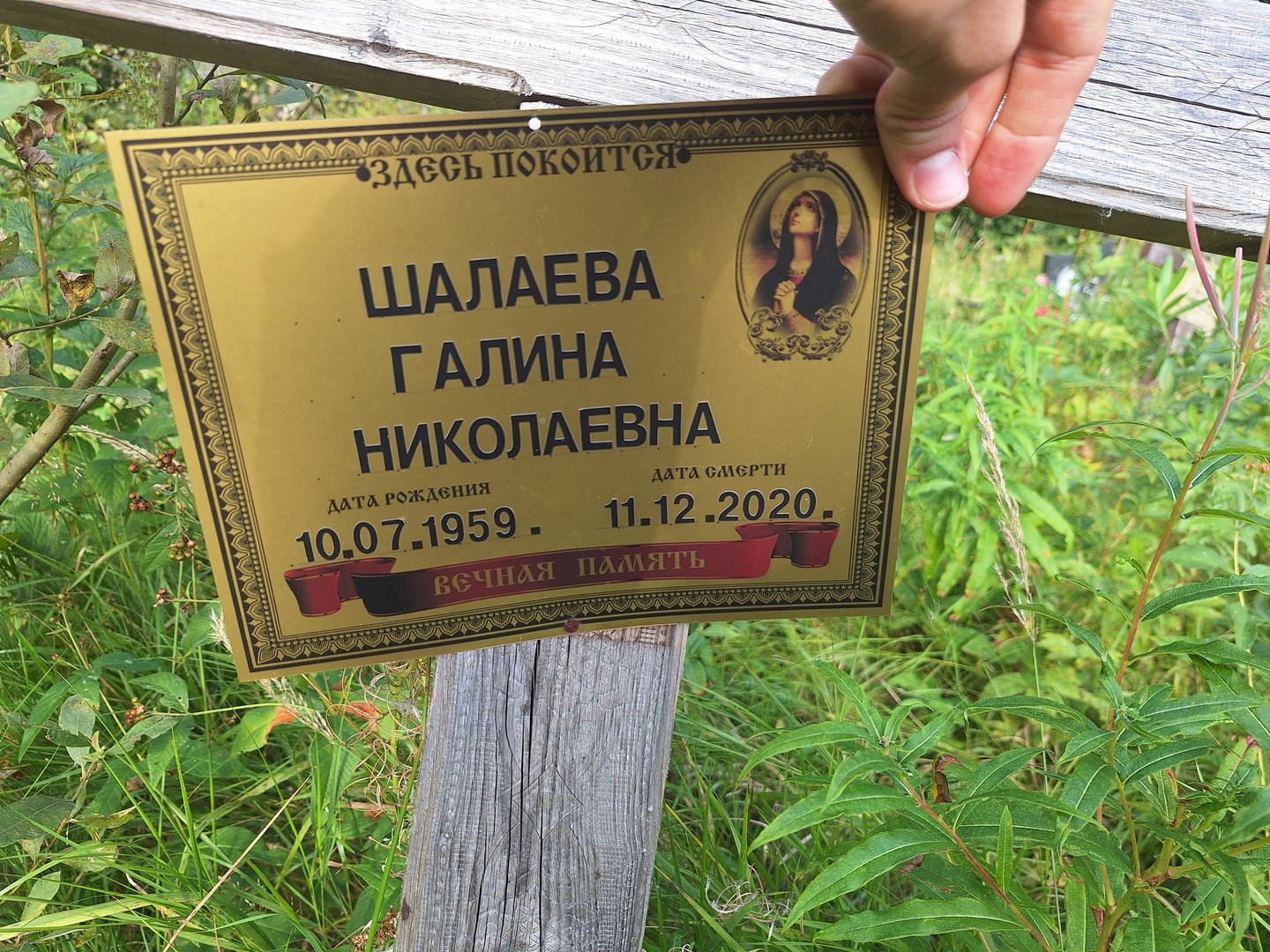 Шалаева