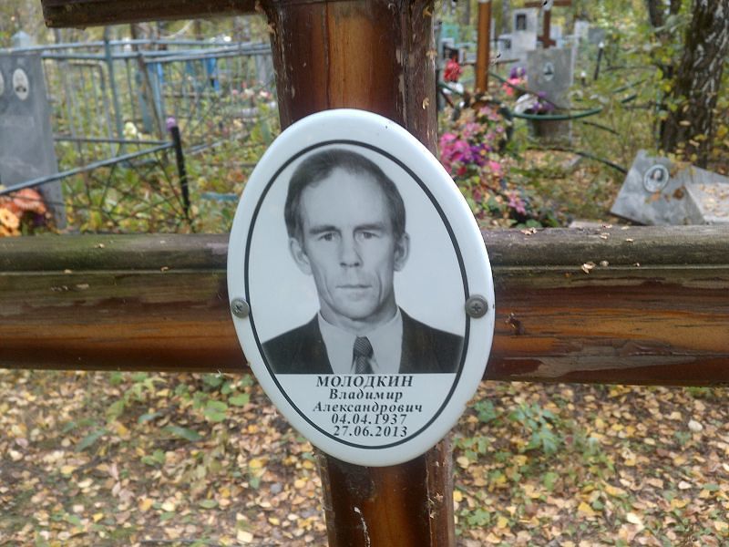 Молодкин
