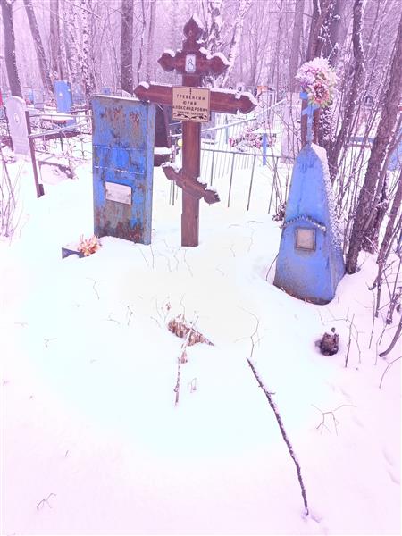 Гребенкина Елена Анатольевна