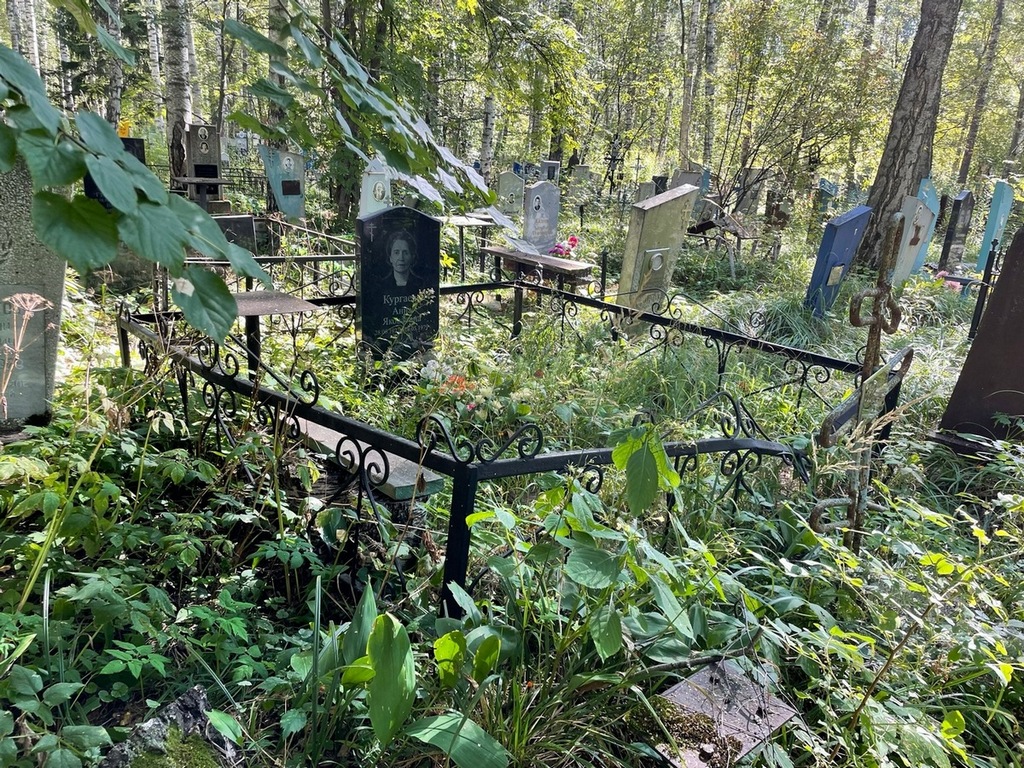 Кургаева Анна Яковлевна