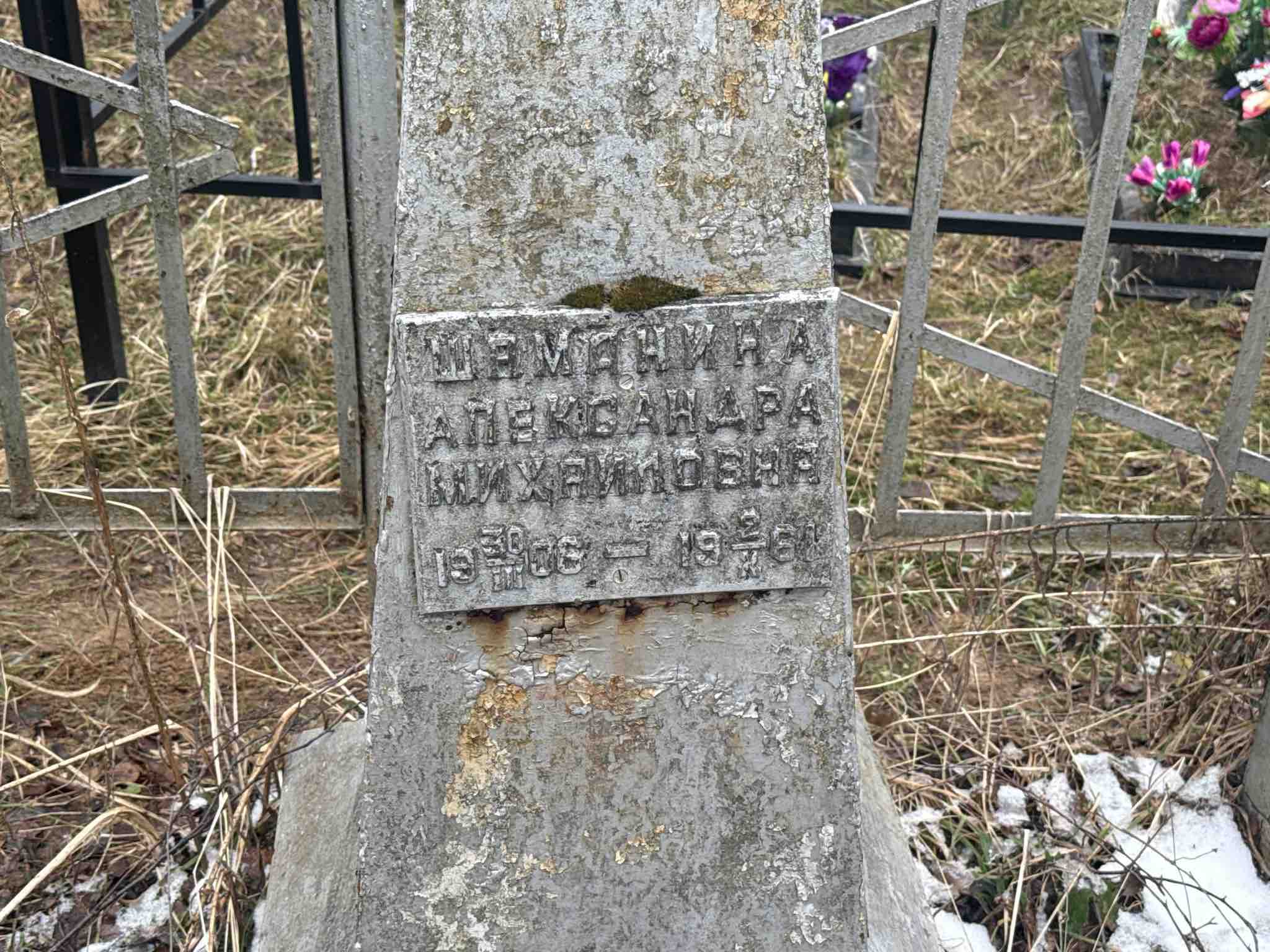Шеманина Александра Михайловна