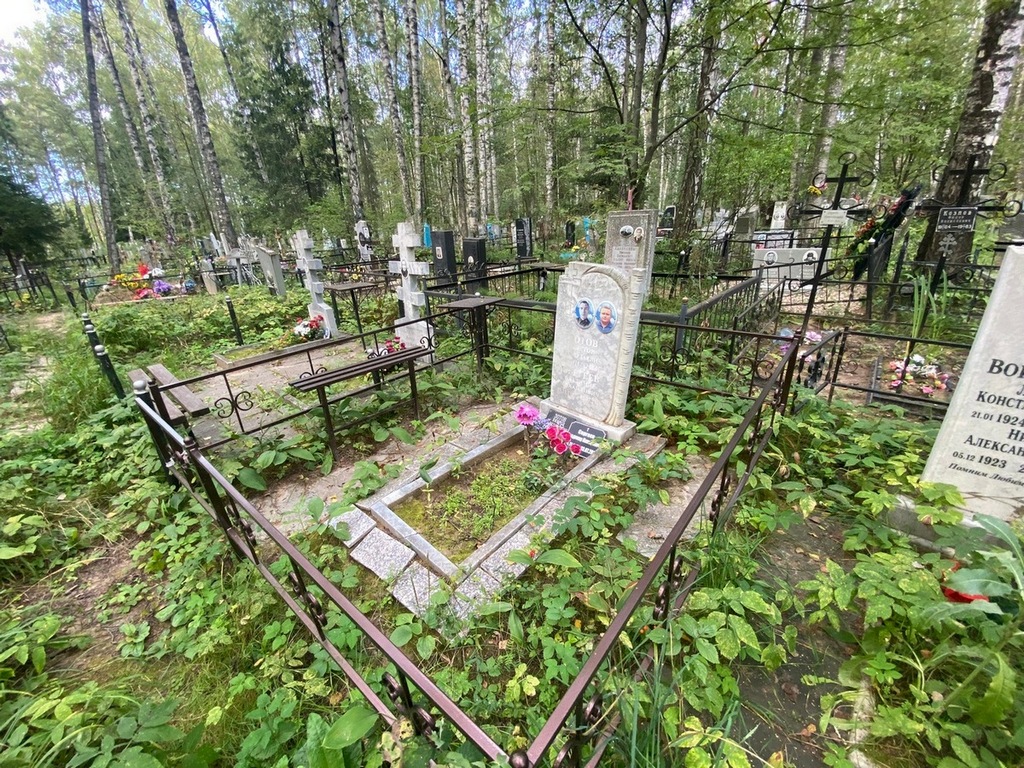Сергеев Владимир Михайлович